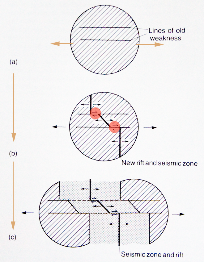 변환단층이 형성되는 과정에 대한 가설.png